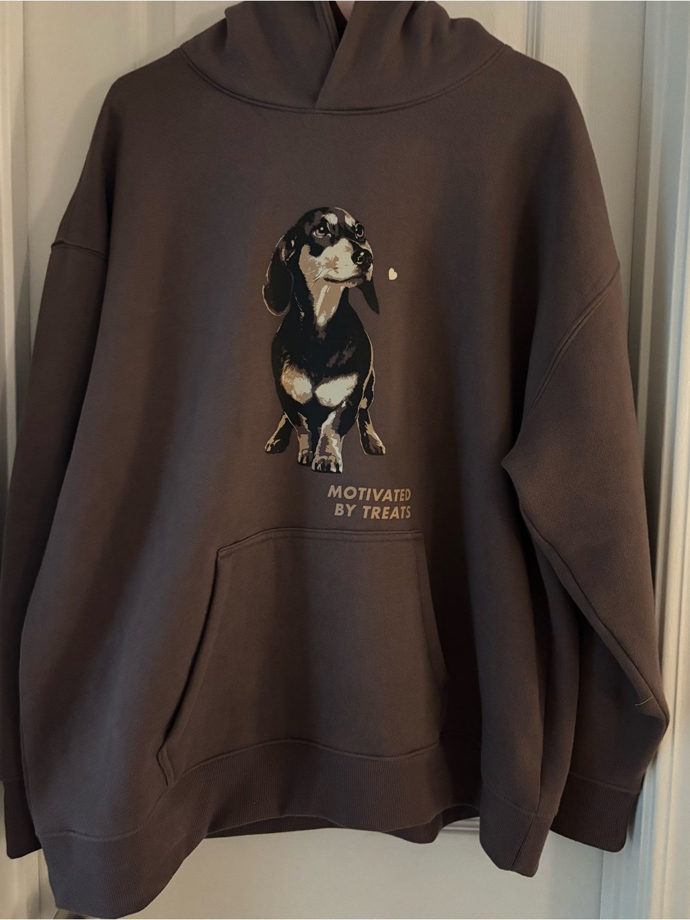 Wild Fable Dachshund Women’s Dog Hoodie - Large